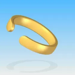 Bangle