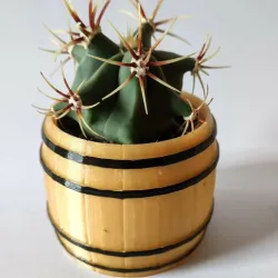 Barrel Ikea cactus pot