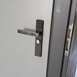 Bathroom door lock backplate cover