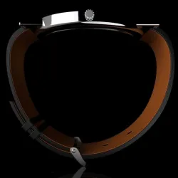 brown watch
