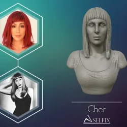Cher portrait sculpture ready to 3D print 3D print model