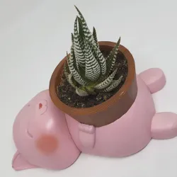 Cute Cat Plant pot