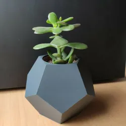 Dodecahedron Ikea cactus pot