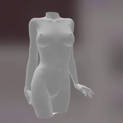 female torso (torso)