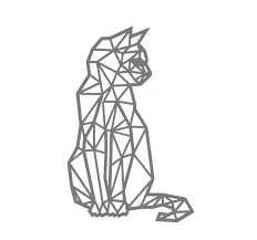 geometric cat