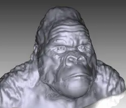 Gorilla Bust