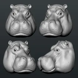 Hippo Head