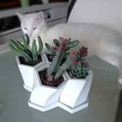 Honeycomb Planter