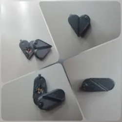 Illusionist Heart Locket