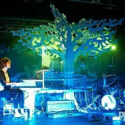 Imogen Heap 2010 tour tree