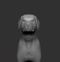 Labrador