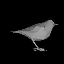 Low Poly Bird