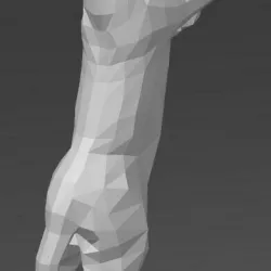 Low Poly Cat - stretching on wall