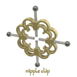 Nipple Clamps Female Fetish Nipple Teasers Breast Clit Sensual Bondage  Nipple Clips Boobs Bondage Female Restraints fbn-09 3d print cnc