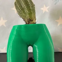 Small Flower Pot, Bust with Pussy.