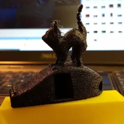 V29 with cat