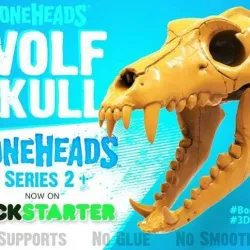 Boneheads Series 1: Wolf Skull w/ Articulated Jaw - via 3DKitbash.com
