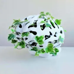 Brain Planter