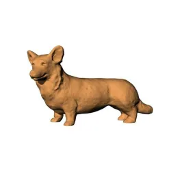Corgi