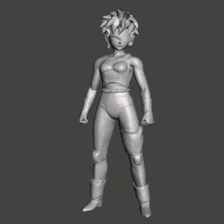 Fasha 3D Model