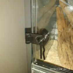 Hinge Glass Door Lock Latch for terrarium vivarium (for Bad Cat)