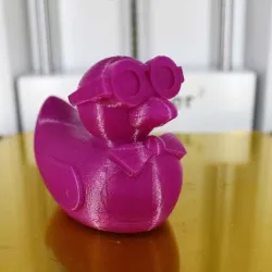 Professor McDuckley