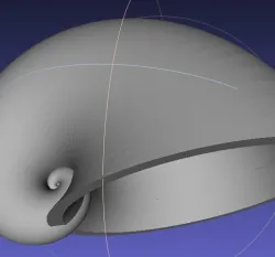 Shell 01