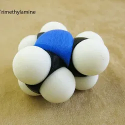 Space-filling molecular models:  Nitrogen expansion set