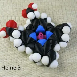 Space-filling molecular models: Transition Metal expansion pack