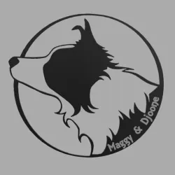 Wall decoration Border collie