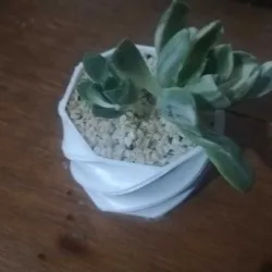 Wavy SPIRAL VASE