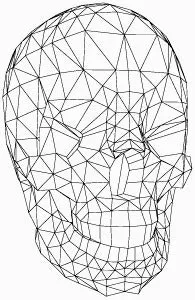 anatomy scan models 2