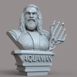 AQUAMAN STL BUST
