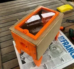 Asian hornet trap