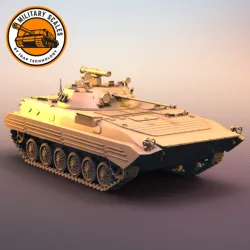 BMP 2