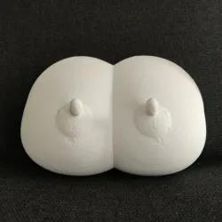 Boobs 1. A pair, version 1 (titties)