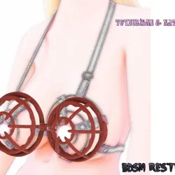 Bra BDSM Women Tongue Breast Boobs Bondage Female Chastity Device Nipple Bra Restraints GOLDEN CAGE Bra02 3d print cnc