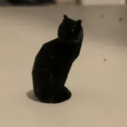 Cat 3D