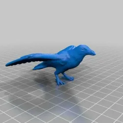 Crow, open wings