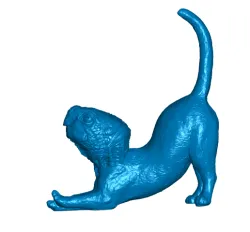 DNA Hack: Kitty Turtle