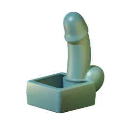 elegant dick Succulent planter