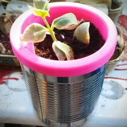 Flower pot can / Conserve