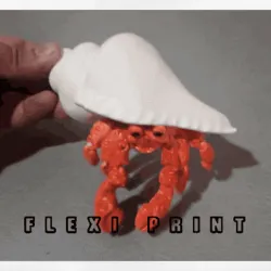 Hermit crab (flexi, cute, semi realistic)