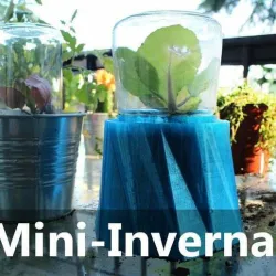 Invernadero Mini DIY