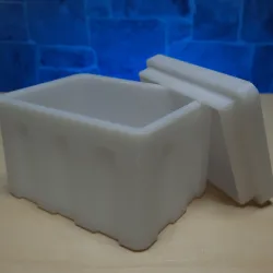 Mini Cooler Box