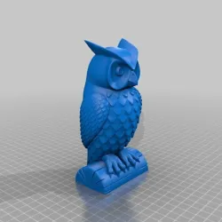 owl facing front