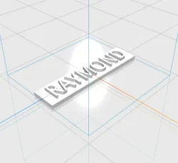 RAYMOND letters