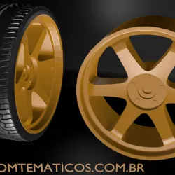 RODA DC10