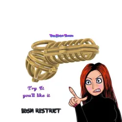 Scrotum-cock-balls-cage Confortable Sleek Toy for Happy Flirter Male Chastity Device Cock Cage Penis Scrotum Ring  Virginity Lock Chastity Belt Adult Game Sex Toy locker blocker v-59 3d print and cnc