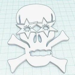 Skull flat